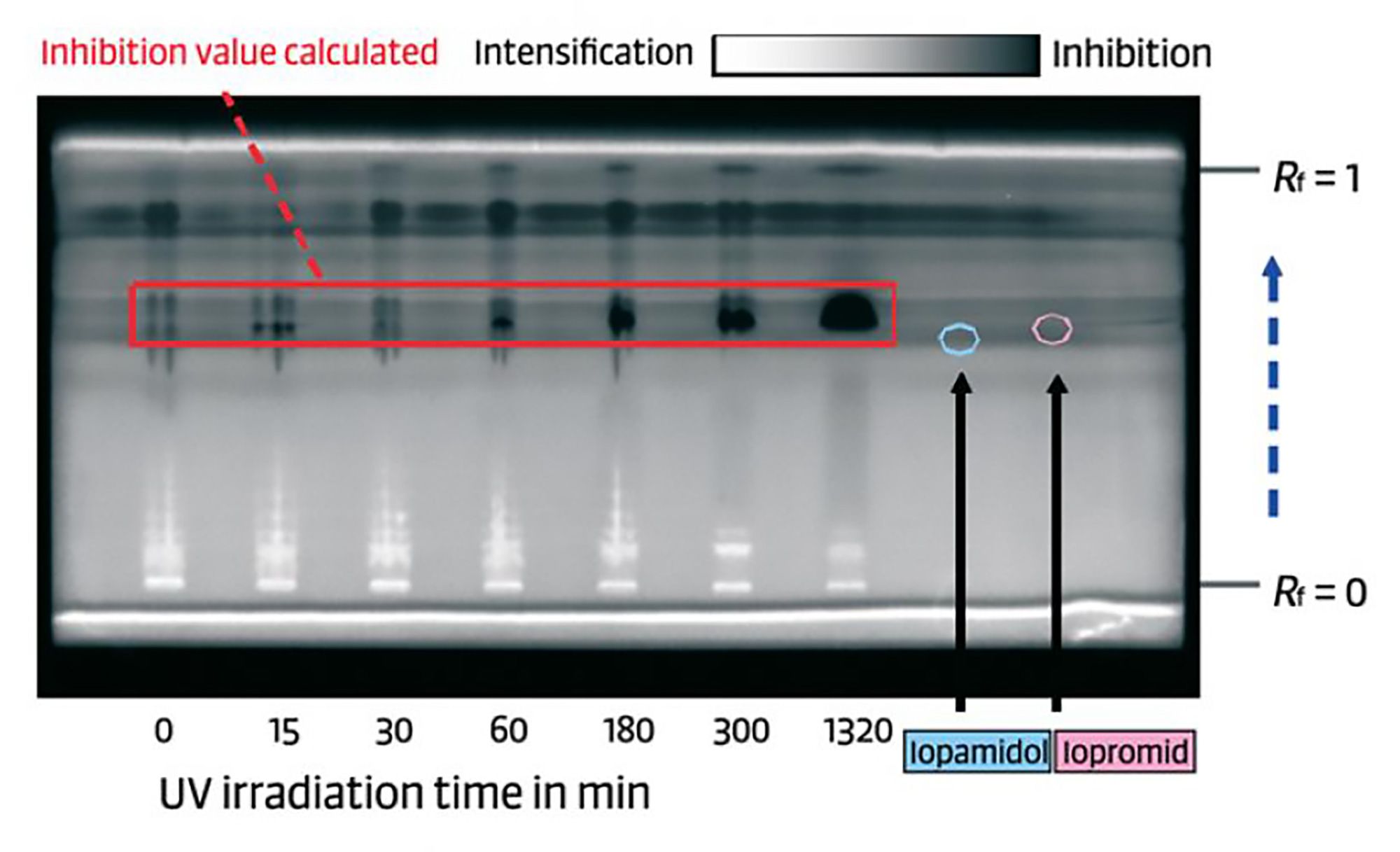 BioLuminizer Variable irrad