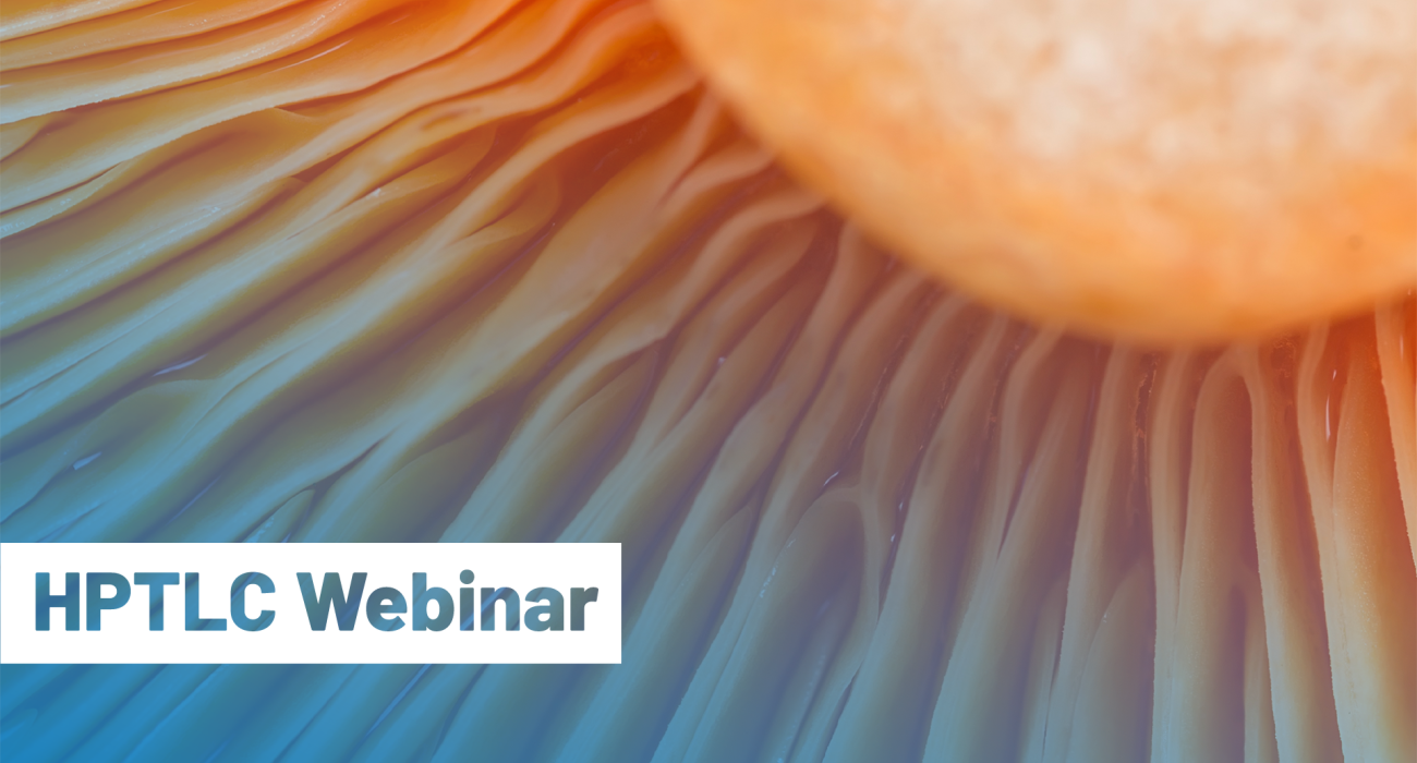 camag-nammex-webinar-thumb