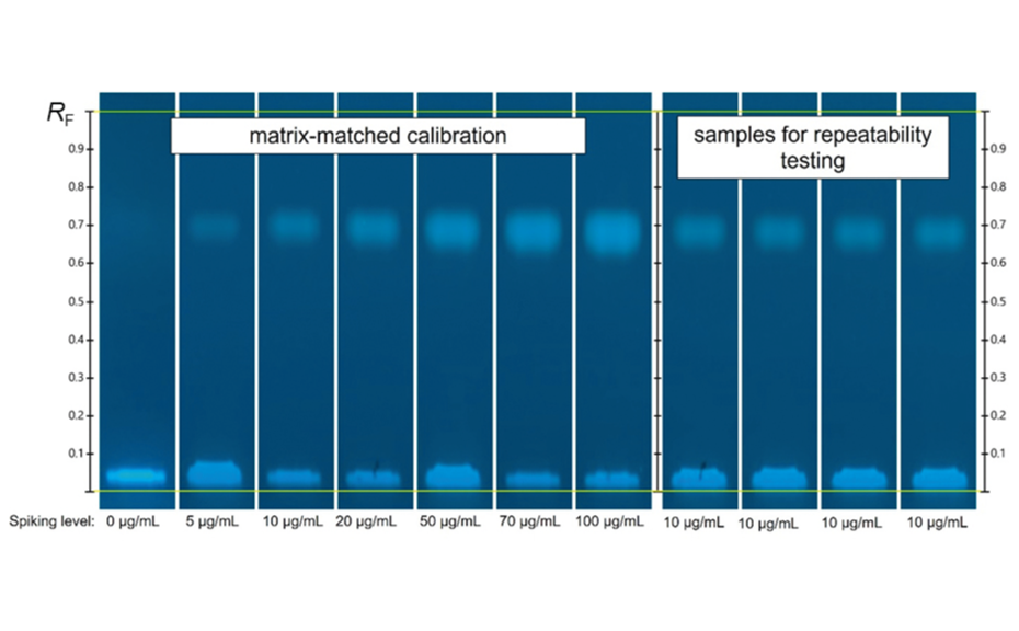 HPTLC chromatograms of matrix-matched calibration standards (from left: track 1–7) and repeatability samples (from left: track 8–11) in UV 366 nm after separation on the primuline impregnated HPTLC plate with a migration distance of 30 mm.