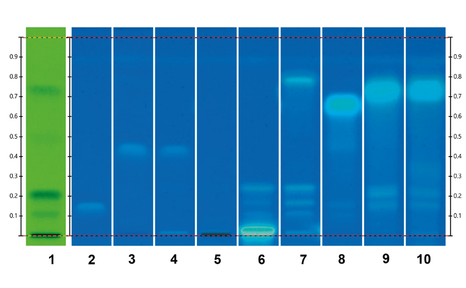 HPTLC analysis of the UHM (track 1) in UV 254, triacetin and tributyrin (tracks 2 and 3), ButyraGen™ and ButyraGen™ placebo (tracks 4 and 5), glycerol monosterate, raw cocoa butter, medium chain triglycerides, palm kernel oil and linseed oil (tracks 6–10) in UV 366 nm post derivatization with primuline solution.